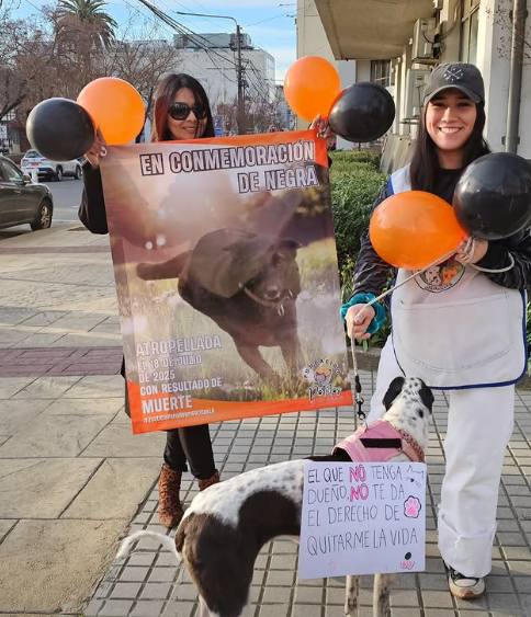 Marcha por Negrita / Diario La Tribuna