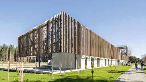 Gerth Wandersleben sobre la construcción en madera: Tenemos una industria que puede ser potenciada