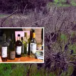 En el Encuentro de Enoturismo Emergente, productores y autoridades coincidieron en destacar esta cepa patrimonial como el eje fundamental para impulsar el desarrollo turístico y económico sostenible de la región.