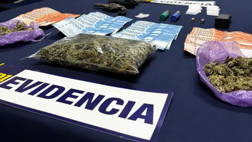 Detienen a hombre que vendía drogas por delivery y portaba armas en Traiguén