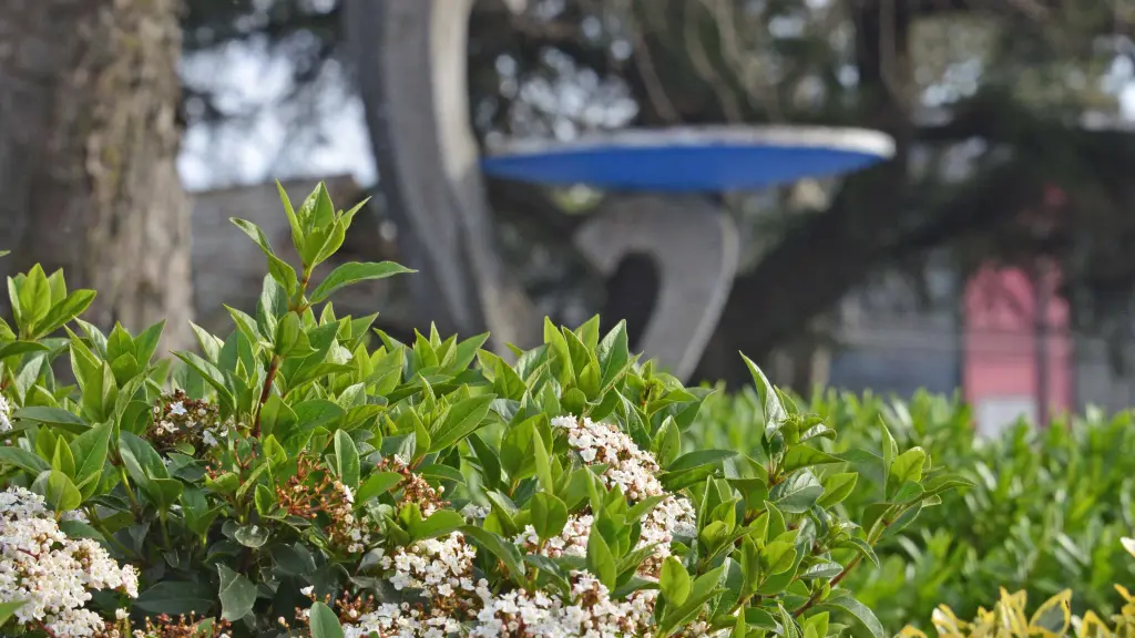 Avenida Ricardo Vicuña Los Ángeles / Diario La Tribuna