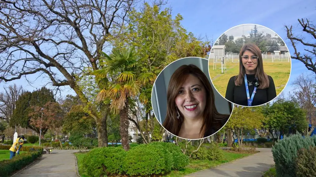 Avenida Ricardo Vicuña a cinco semanas de la primavera, Edición Diario La Tribuna