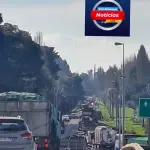 Choque múltiple deja varios lesionados en acceso de Los Ángeles, Cedida