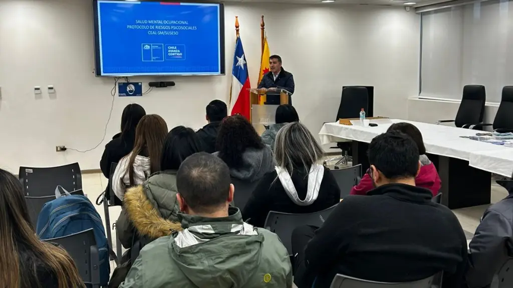 Proceso formativo asociado a los riesgos psicosociales en el ámbito laboral, Seremi de Salud Biobío