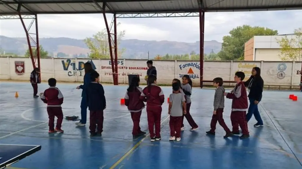 En el estudio participaron 161 estudiantes de primero a cuarto básico de establecimientos educativos de Arauco, Concepción y Nacimiento., UdeC campus Los Ángeles