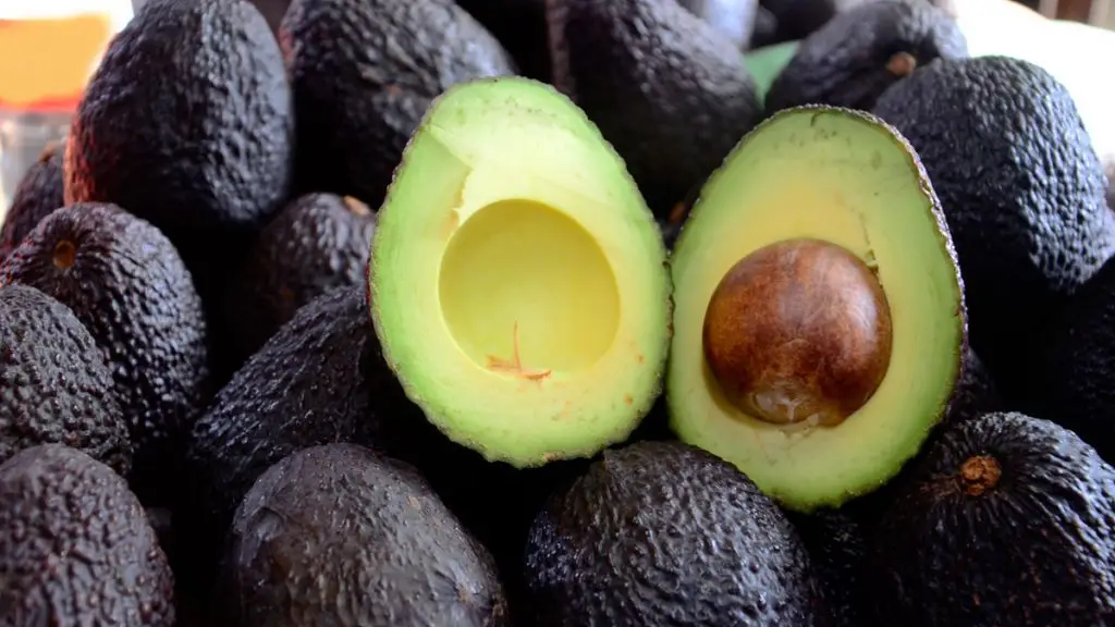 Palta hass, internet