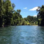 Una mujer de 48 años logró salir por sus propios medios y fue auxiliada en tierra., contexto