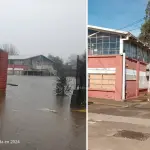 Coelgio Beato Damián de Molokai Los Ángeles