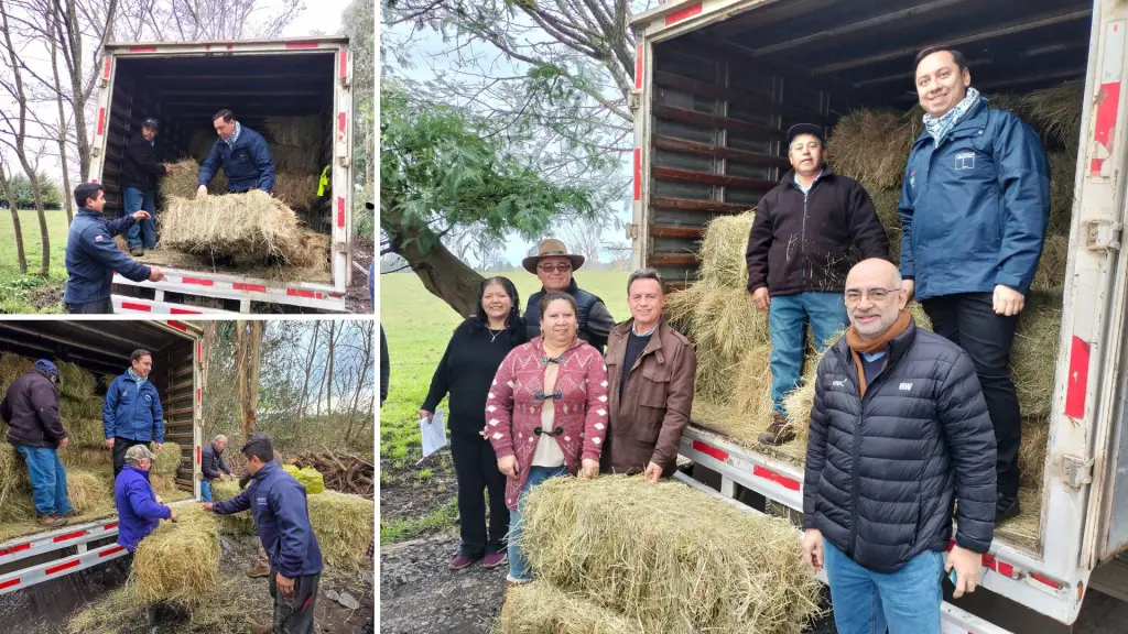 La ayuda benefició a hogares campesinos que fueron provistos con alimento animal, agua potable y combustible doméstico.