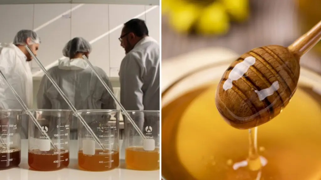 Las abejas, al producir la miel, aportan a quienes la consumen los beneficios anteriormente dichos. , Contexto