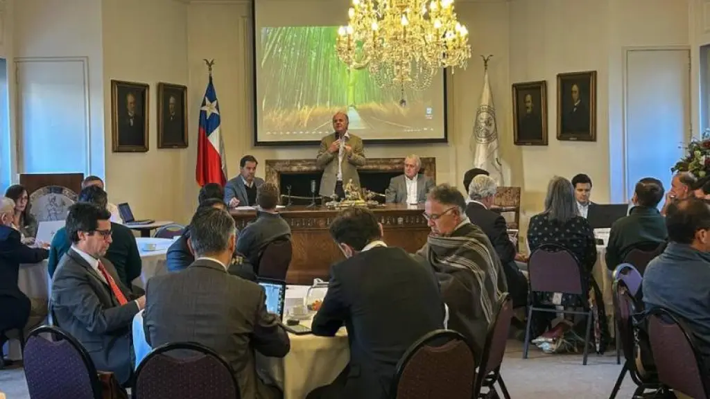 El documento identifica 40 temas relevantes y formula 75 propuestas agrupadas en cinco ejes relacionadas con el quehacer silvoagropecuario, que surgieron del trabajo con los gremios.