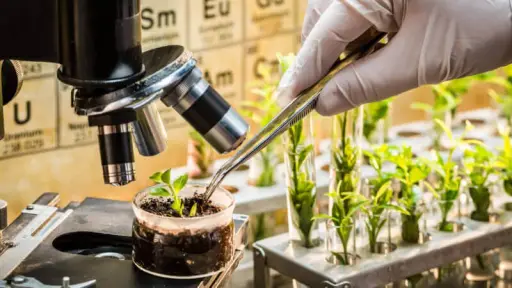 Comisión entrega recomendaciones para fortalecer el desarrollo de la biotecnología en Chile