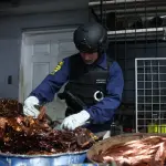 Operativo liderado por la PDI culminó con la incautación de un container con 25 toneladas de cobre en la región del Biobío., PDI Biobío