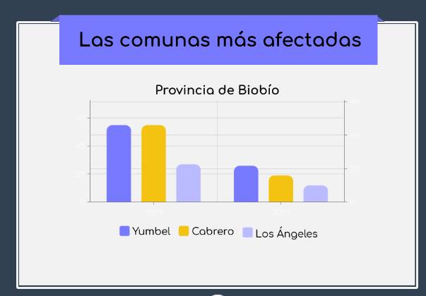 Infografía 2 / Edición Diario La Tribuna