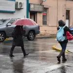 Los peatones siguen siendo los más expuestos y vulnerables a los problemas de seguridad vial en el país., La Tribuna