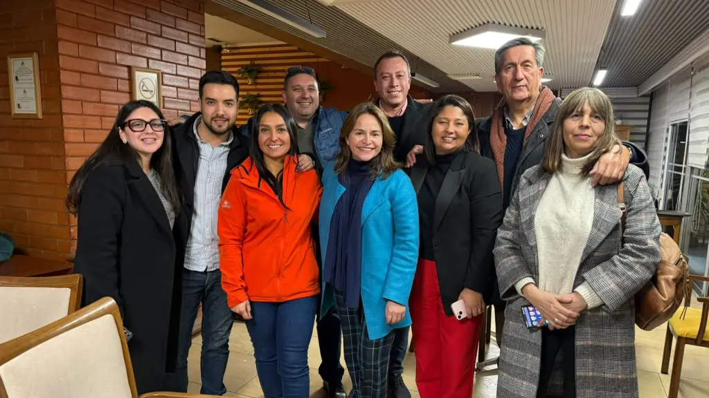 Joanna Pérez lidera la lista que incluye a Elizabeth Maricán y Patricio Marchant., Cedida