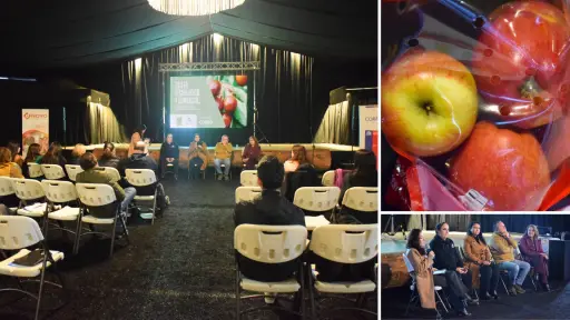 Fruticultura como motor: buscan transformar a Ñuble, Biobío y La Araucanía en una potencia agrícola