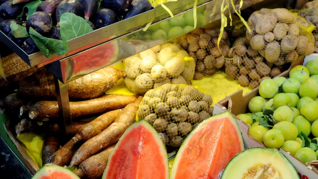 La alimentación influye en la salud de nuestro cerebro / EFE