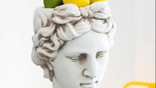 Los alimentos claves para un cerebro sin 'arrugas'