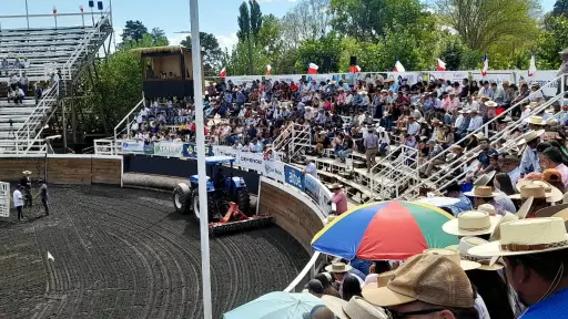 Los Ángeles abrirá clasificatorio del Campeonato Nacional de Rodeo 2026