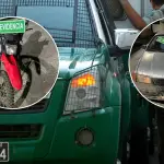 Operativo policial desmantela laboratorio de drogas en Lota, La Tribuna