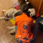 Fundación Patitas Los Ángeles, @patitas_l.a