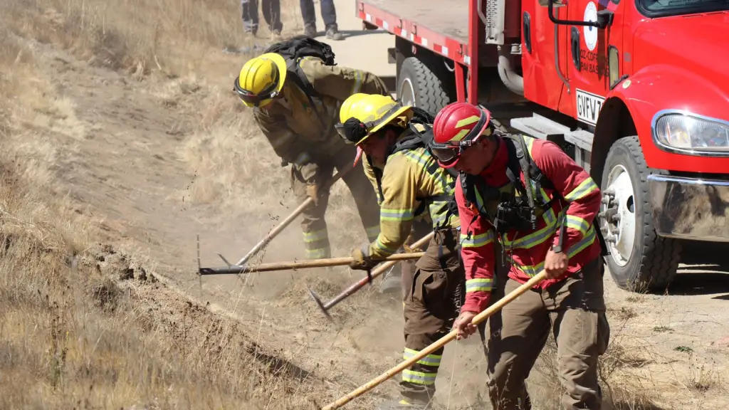 Los brigadistas seleccionados trabajarán desde septiembre hasta mayo en la prevención y combate de incendios forestales, con capacitación especializada que incluye manejo de herramientas, protocolos de seguridad y entrenamiento práctico en terreno., Conaf