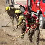 Los brigadistas seleccionados trabajarán desde septiembre hasta mayo en la prevención y combate de incendios forestales, con capacitación especializada que incluye manejo de herramientas, protocolos de seguridad y entrenamiento práctico en terreno., Conaf