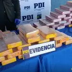 El conductor del vehículo fiscalizado trasladaba la droga desde la zona norte hacia la provincia de Concepción, PDI Biobío