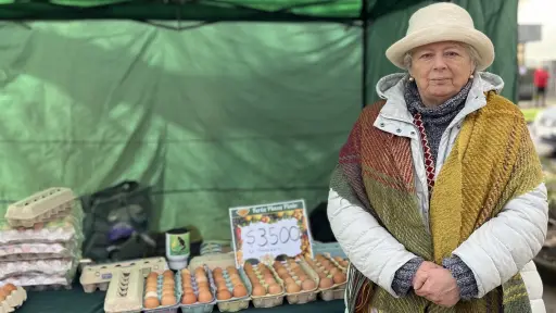 Soy el sustento de mi hogar: La avicultora que encontró su independencia económica en Plaza Pinto