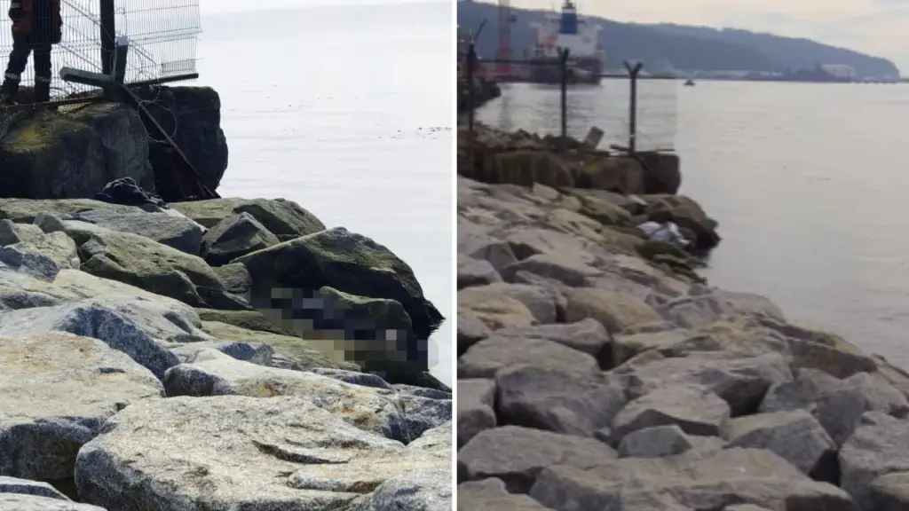 AHORA | Encuentran cadáver flotando plaza de Talcahuano, Cedida