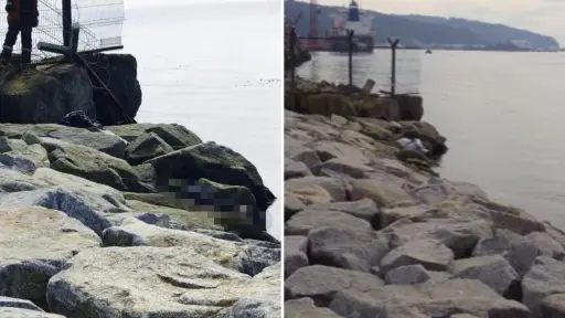 Encuentran cadáver flotando en roqueríos de Talcahuano