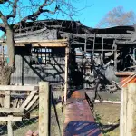 Incendio Quilleco, Ong Llave Sol Nodo 