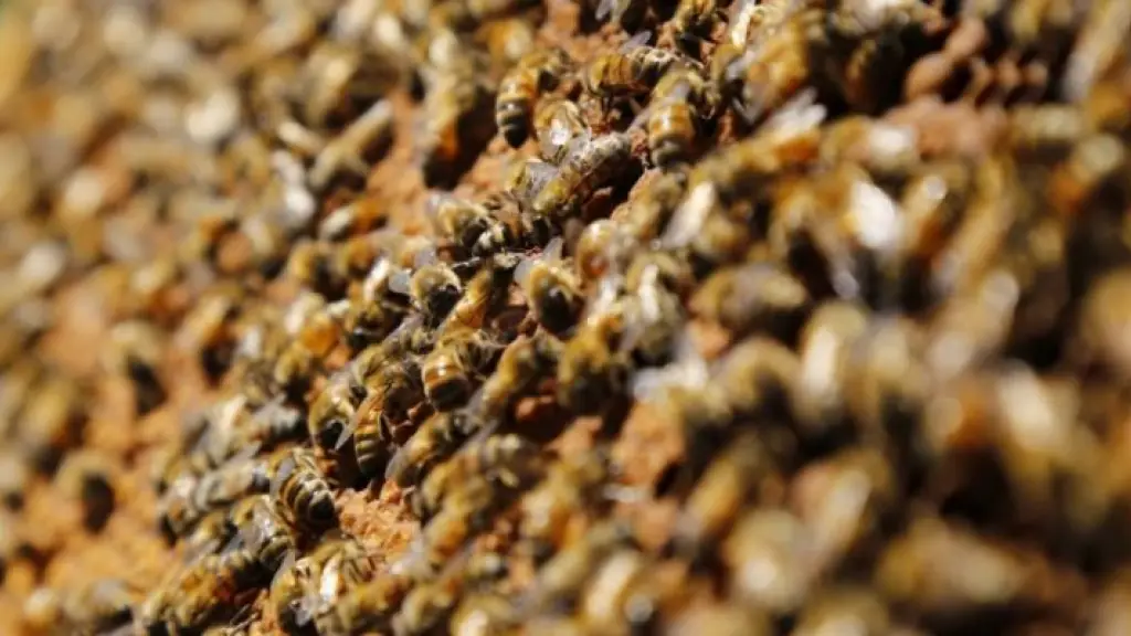 Foto de contexto. / Antofagasta TV