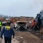 Francisco Ruiz-Tagle recordó que el sector forestal ha sido víctima de más de 500 ataques durante la última década —casi 50 por año—., PDI | Contexto