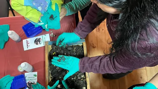 Más de tres mil personas celebraron el Día de los Patrimonios de Niñas, Niños y Adolescentes en Biobío