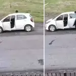 Hombre golpea a un perro con una herramienta en sector rural de Los Ángeles, La Tribuna