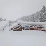 Parque Nacional Laguna del Laja, CONAF