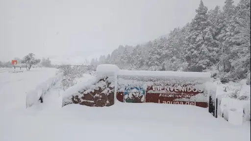Ante intensa nevazón: Parque Nacional Laguna del Laja reabrirá sus puertas a contar del domingo
