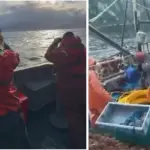 Hallan vida, contexto