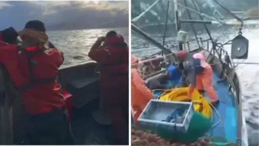 Encuentran con vida a uno de los tripulantes desaparecidos en naufragio al sur de Punta Arenas