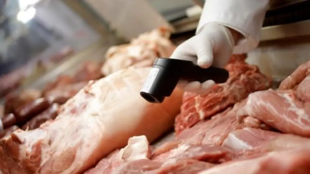 Decomiso de Carne, Biobío Chile