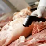 Decomiso de Carne, Biobío Chile