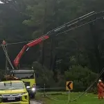 Cerca de 47 kilómetros de cables eléctricos han sido sustraídos a Frontel durante 2025, La Tribuna