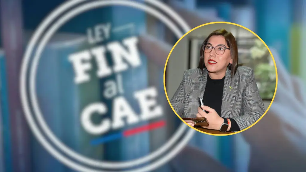 Este miércoles se vota en la Cámara de Diputados el proyecto que crea el FES, con el objetivo de terminar con el endeudamiento bancario en la educación universitaria.