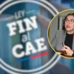 Este miércoles se vota en la Cámara de Diputados el proyecto que crea el FES, con el objetivo de terminar con el endeudamiento bancario en la educación universitaria.