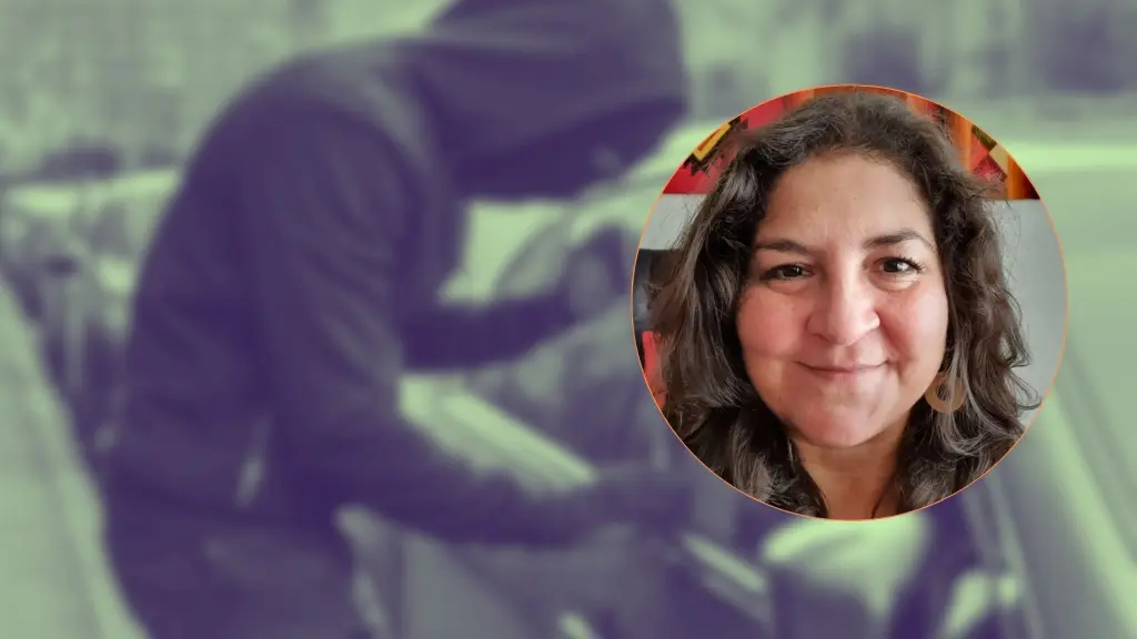 La seremi de Seguridad Pública, Paulina Stuardo, explicó que la nueva planificación se centrará en coordinar recursos, priorizar territorios críticos y fortalecer el trabajo conjunto con policías y municipios.