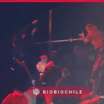 Hincha de Universidad de Chile cae al vacío en medio de incidentes en Copa Libertadores, cedida