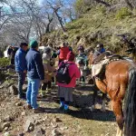 Coordinación multisectorial permitió evacuar a vecina de 67 años desde sector Los Maitenes, Alto Biobío Comunicaciones