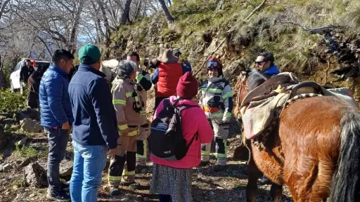 Coordinación multisectorial permitió evacuar a vecina de 67 años desde sector Los Maitenes